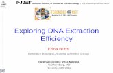 Exploring DNA Extraction Efficiency - NIST Testing Absolute Extraction Efficiency Highly characterized extracted DNA: Varying amounts added to sterile swabs (n=18 per quantity) Known
