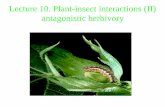 Lecture 10. Plant-insect interactions (II) antagonistic ... · Plant-insect signaling interactions: constitutive vs. induced defense or counterdefense Constitutive Present round-the-clock