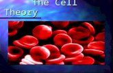 [PPT]The Cell Theory - Germantown Municipal School District Cell Theory.ppt · Web viewThe Cell Theory Some Random Cell Facts The average human being is composed of around 100 Trillion