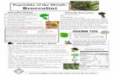 Vegetable of the Month: Broccolini - Nebraska Dept of … of the Month: Broccolini Broccolini & Sugar Snap Pea Salad It is actually a natural hybrid of the cabbage family, a cross