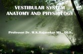 VESTIBULAR SYSTEM ANATOMY AND …nams-india.in/downloads/lrm/vestibular01.pdfis a fibrous structure the otolith membrane in which are embedded crystals of calcium carbonate called