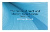 The Future of Small and Medium Sized Nuclear Reactors Future of Small and Medium Sized Nuclear Reactors 2009 and Beyond Presentation Outline Distinguish from Large Commercial Reactors