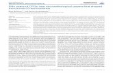 Fifty years of CPGs: two neuroethological papers that ...faculty.bennington.edu/~sherman/neuro/Fifty years of CPGs- two... · They showed that no one ganglion served as a unique pacemaker