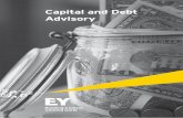 Capital and Debt Advisory - EYFILE...Capital and Debt Advisory Introduction to Capital and Debt Advisory Our areas of expertise EY’s Capital and Debt Advisory Team is focused on
