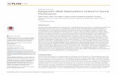 Epigenetic DNA Methylation Linked to Social Dominancefernaldlab.stanford.edu/wp-content/uploads/2016/01/2015Lenkov-et...African cichlid fish,Astatotilapia burtoni,inwhichsocialrankdictates