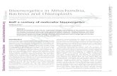 Bacteria and Chloroplasts yy o - uni-osnabrueck.de · Bioenergetics in Mitochondria, Bacteria and Chloroplasts Bioenergetics in Mitochondria, ... and the construction principles to