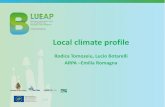 Rodica Tomozeiu, Lucio Botarelli ARPA Emilia … climate profile Rodica Tomozeiu, Lucio Botarelli ARPA –Emilia Romagna