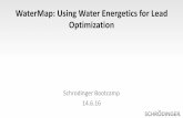 WaterMap: Using Water Energetics for Lead … Using Water Energetics for Lead Optimization Schrodinger Bootcamp 14.6.16 . ... rationalize SAR, drive potency, and tune selectivity –Green