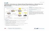 Tumor Interferon Signaling Regulates a Multigenic ...hishwaran/papers/benci_CELL_2016.pdf · Tumor Interferon Signaling Regulates a Multigenic Resistance Program to Immune ... Tumor