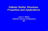 Cellular Solids: Structure, Properties and Applications · Freeze-casting . High temperature ... Liquid-Filled Closed-Cell Foam . ... 3.054 / 3.36 Cellular Solids: Structure, Properties