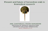 Present and future of horseshoe crab in biomedical research Ani… ·  · 2011-06-16Present and future of horseshoe crab in biomedical research ANIL CHATTERJI & FAIZAH SHAHAROM INSTITUTE