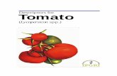 Descriptors for Tomato (Lycopersicon spp.) · 4 Descriptors for Tomato (c) many quantitative characters which are continuously variable are recorded on a 1-9 scale, where: 1 Very