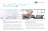 Managing SAP User Accounts and Access Rights using ... · and Access Rights using Identity Manager ... that use SAP® need a way to manage user accounts and access rights. ... and
