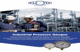 Floyd Instruments’ Industrial Series Pressure Gauges Instruments’ Industrial Series Pressure Gauges are designed & manufactured for use in aggressive process media applications