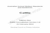 Australian Animal Welfare Standards and Guidelines - Cattleanimalwelfarestandards.net.au/...and-guidelines_public-consultation... · The publishers give no warranty that the information