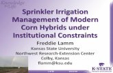 Sprinkler Irrigation Management of Modern Corn Hybrids ... · Sprinkler Irrigation Management of Modern Corn Hybrids under Institutional Constraints ... compensate when insufficient