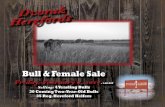 Bull & Female Sale - Dvorak Herefords HftefThdsFebruffy 6, 2015 1pm CST at the ranch Pickstn, SD 3 Sale day phone: Boyd Dvorak 605-491-7090 Jeff Dvorak 605-491-2068 Ben Roudabush 276-692-8118