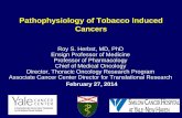 Pathophysiology of Tobacco Induced Cancers - NCI …/,ale ( CANCER CENTER Designated National Cancer Institute Pathophysiology of Tobacco Induced Cancers Roy S. Herbst, MD, PhD Ensign