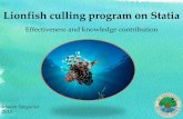 Lionfish culling program on Statia - CNSI Sanquinet_Lion fish... · What is going on in Statia ? ... BREAKING NEWS!!!!! In Venezuela in 2015 : -Non significant impact of the lionfish