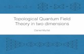 (1) Topological Quantum Field Theory in two dimensionstherisingsea.org/notes/talk-2dtqft.pdf · In a lecture at the Hermann Weyl Symposium last year [1], Michael Atiyah proposed two