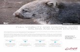 FULL VISIBILITY AND CONTROL OVER ERLANG AND … · WOMBATOAM POPULAR PLUGINS ERLANG AND ELIXIR RABBITMQ RIAK MONGOOSEIM PHOENIX WombatOAM seamlessly plugs straight into most Erlang