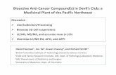 Bioactive Anti Cancer Compound(s) in Devil’s Club: a ... polyacetylene.pdf · Bioactive Anti‐Cancer Compound(s) in Devil’s Club: a Medicinal Plant of the Pacific Northwest David