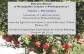 Botryosphaeria: A Manageable Disease in … A Manageable Disease in Pomegranates? Themis J. Michailides University of California Davis,