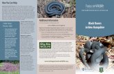 NEW HAMPSHIRE WILDLIFE ACTION PLAN just because a snake ... Funding for this brochure was provided by the New Hampshire Fish and Game Department. Written …