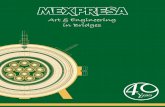 Art & Engineering in Bridges - Mexpresa · FYFE S S S TRANSFLEXR Structural Design. Stay & Suspension Cables for Bridges, Domes & Roofs. Climbing Forms Form Travelers. Expansion Joints