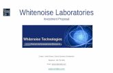 Whitenoise Technology Investment Proposal - wnlabs.com · investment proposal. ... SharePoint + Yammer + Office 365 Collaborative £75 ... Large ROI with small market penetration