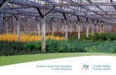 Guide to Native Plant Nurseries & Seed Suppliers · Native Plant Nurseries & Seed Suppliers CVC encourages landowners and residents to plant native trees, shrubs, wildflowers and