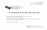 Treball Final de Grau - Dipòsit Digital de la Universitat de ...diposit.ub.edu/dspace/bitstream/2445/101672/1/MINELLA...Treball Final de Grau Tutor/s Dr. Jordi Bonet Ruiz Department