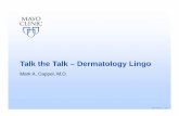 Talk the Talk – Dermatology Lingo the Talk – Dermatology Lingo ... • Keratotic • Granular ... Other Specific Skin Lesions • Milium: small white cyst • Furuncle: ...