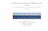 Comparative Analysis of Monitor Class Vessels Comparative Analysis of Monitor Class Vessels A Sociocultural study of USS Monitor and HMVS Cerberus. Kyle T. Lent . Department of Archaeology