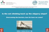 Is the eel climbing back up the slippery slope? · Is the eel climbing back up the slippery slope? ... IFM Workshop 2015 Passage and Screening; ... CH DE DK NL BE UK FR ES IT ?? PL