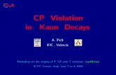 CP Violation in Kaon Decays - International Centre for ...users.ictp.it/~smr1951/Programme_files/02-Pich.pdflavi net CP Violation in Kaon Decays A. Pich IFIC , Valencia Workshop on