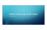 FOOD CHAIN AND FOOD WEBS - Biology is Life!jenniferorlandoteachingportfolio.weebly.com/.../foodchainsfoodwebs.pdf · FOOD CHAINS AND FOOD WEBS ... EXAMPLE FROM LION KING: Grass Antelope