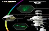 The first true macro fluorescence imaging system first true macro fluorescence imaging system High fluorescence efficiency plus stereo observation Seamless observation from 4x to 125x