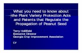 What you need to know about the Plant Variety Protection ...caes2.caes.uga.edu/commodities/fieldcrops/peanuts/pins/...––800800--786786--91999199 THE END New Variety DevelopmentNew