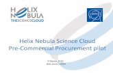 Helix Nebula Science Cloud Pre-Commercial …e-irg.eu/documents/10920/304839/7.+Bob+Jones.pdfHelix Nebula Science Cloud Pre-Commercial Procurement pilot 9 March 2016 Bob Jones, CERN