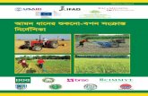 Guidelines for Dry Seeded Rice (DSR) in Bangladesh (Bangla) · No. C-ECG-46-IRRI, Dc-cÖKí-2), (CSISA), Ges (ACIAR) “Sustainable Intensification for Rice-Maize Systems ...