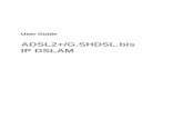 ADSL2+/G.SHDSL.bis IP DSLAM - Intelek€¦ · 2 What’s the difference between ATM based DSLAM and IP based DSLAM? ... 3 3 Introduction ... 8.1.5 Categories of the CLI commands ...