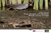1995-2015 The State of Marsh Birds and Frogs · 1995-2015 The State of Marsh Birds and Frogs ... bi-nationally in 1995 by Bird Studies Canada ... surveyed per year between 1995 and