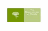 The Neuroscience of Sports - WordPress.com · Neuroscience of Sports . Basic issues ! What makes sports and the brain interesting to study? ! How do athletes perform normally? ! What