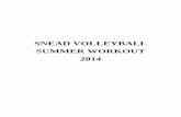 SNEAD VOLLEYBALL SUMMER WORKOUT 2014 - … Summer... · Functional Dynamic Warm-up Routine You should complete this warm-up prior to every workout. We will begin each practice with