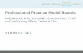 Professional Practice Model Boards - … Practice Model Boards Kelly Hancock, MSN, RN, NE-BC, Executive CNO, CCHS and Chief Nursing Officer, Cleveland Clinic ... • Nursing Leadership