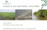 COASTS AS NATURAL SYSTEMS - ASFPM Foundation AS NATURAL SYSTEMS ... coasts to do for us? Where can we make the ... coastal Louisiana has undergone a net change in land