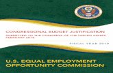 CONGRESSIONAL BUDGET JUSTIFICATION · Fiscal Year 2019 Congressional Budget Justification Page i ... Congressional support for the EEOC’s FY 2017 Budget enabled the ... to lead