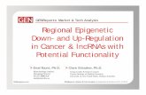 GENReports: Market & Tech Analysis Regional …€¢ The focus of this GEN Market & Tech Analysis Report is to present a snapshot of Regional Epigenetic Down‐and Up‐regulation