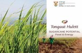 SUGARCANE POTENTIAL Food & Energy 30 October 2013€¦ ·  · 2013-11-05International Industry Trends 4 ... Bioethanol Fuel market Power station Sugar IPP enables ... •Implementation